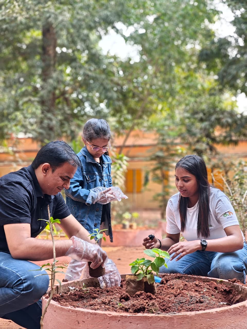 Volunteers planting saplings together as part of a collaboration