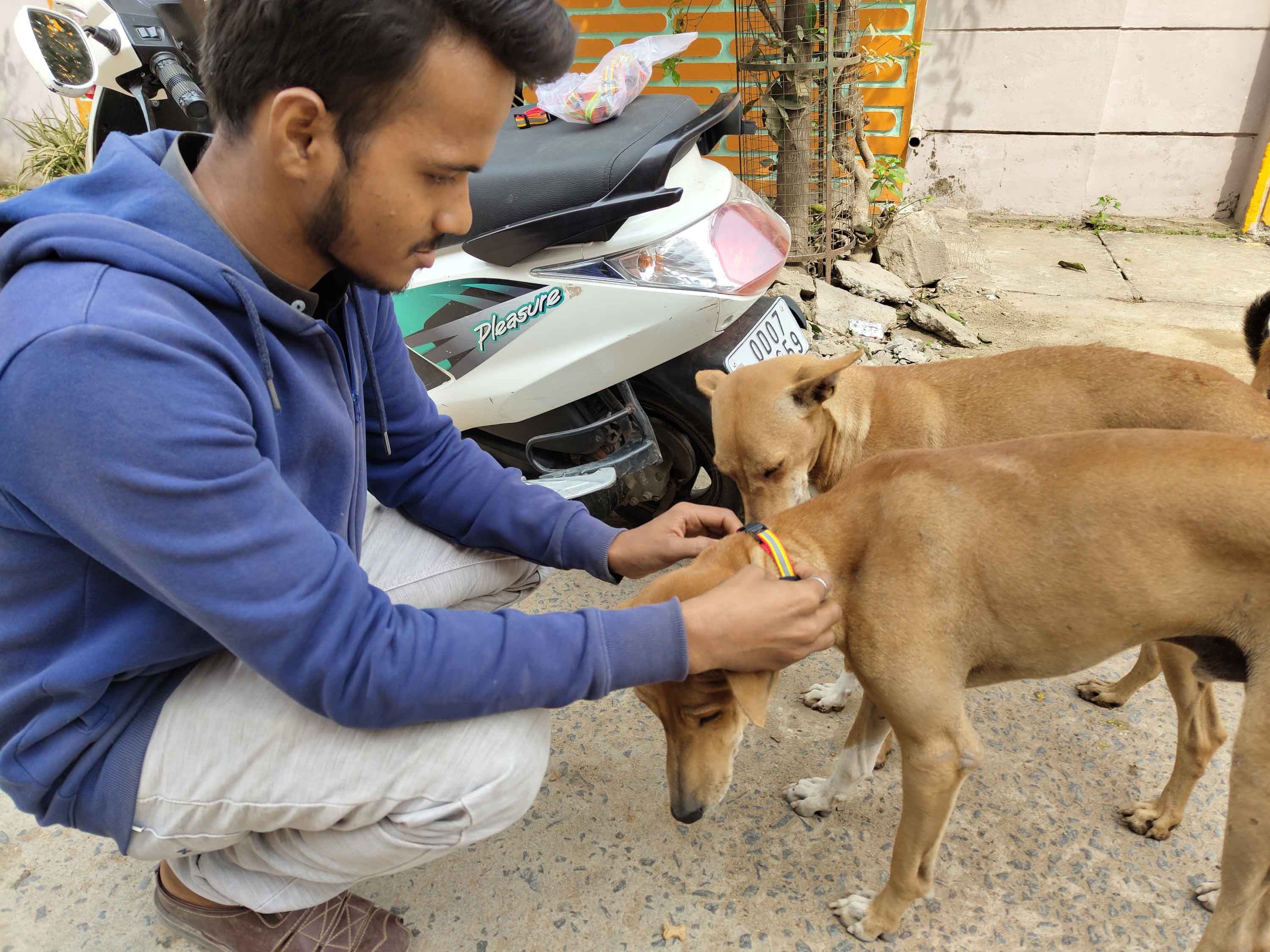 A volunteer caring for a street animal during winter